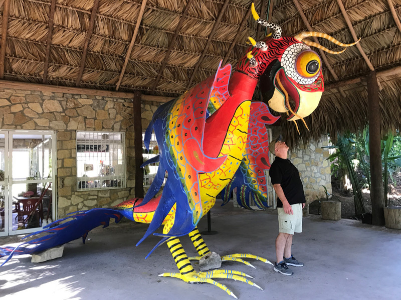 Palanque Parrot 