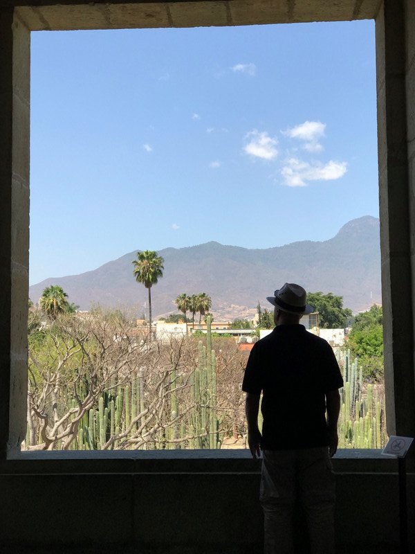 Oaxacan view 