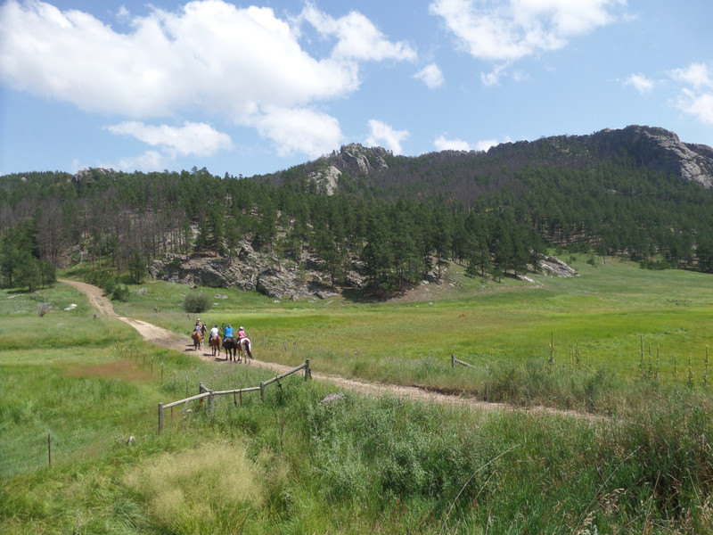 Typical South Dakota scene