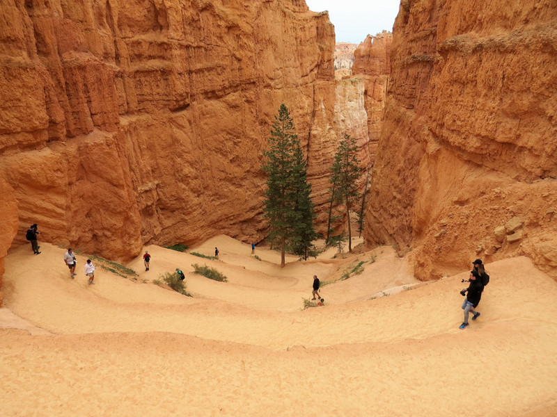 The Grand Staircase, Bryce Canyon