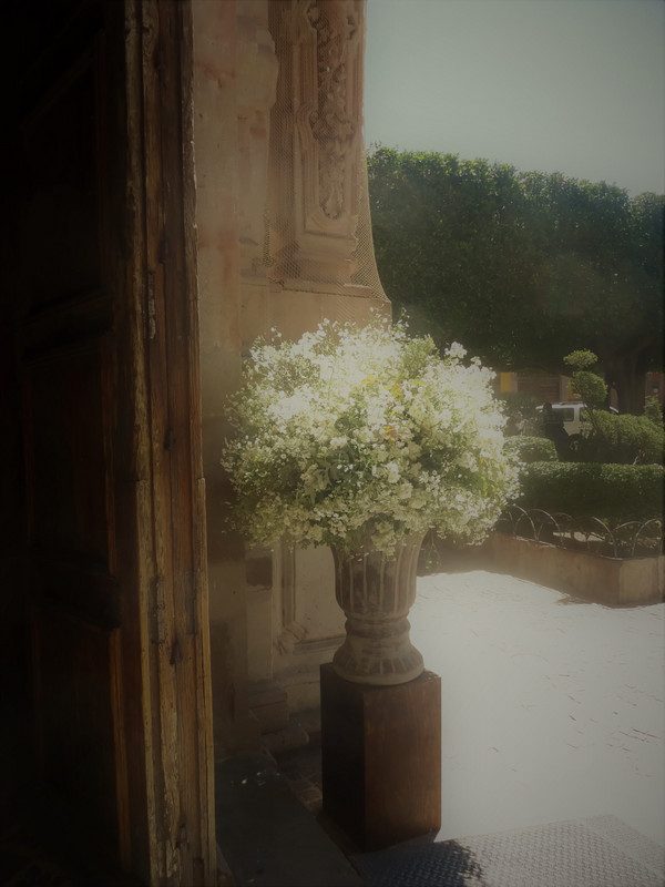 Pretty Church flowers San Miguel  de Allende 