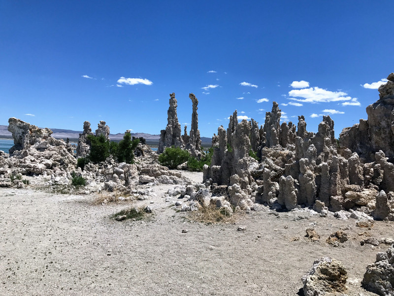 Tufa's. They should all be under the water level. 