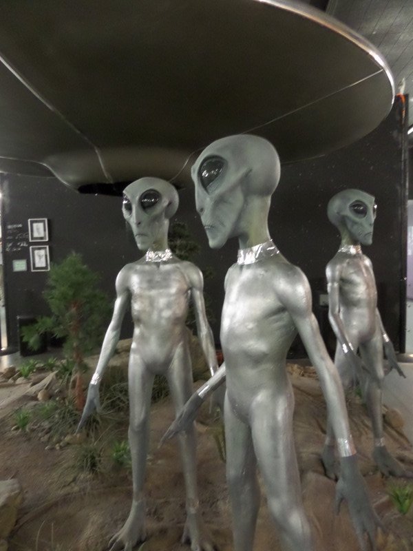Alien friends 