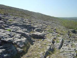 The Burren is still Barren