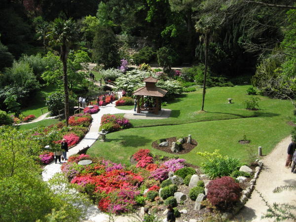 Japanese Garden at Powerscourt