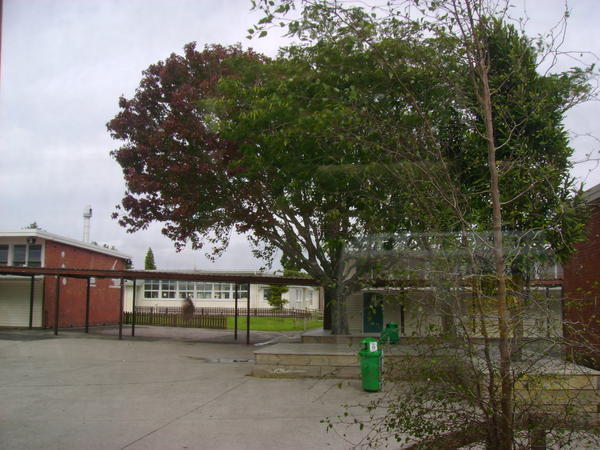 Grey Day at Waiuku College