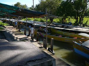 Long tailed boats near floating market