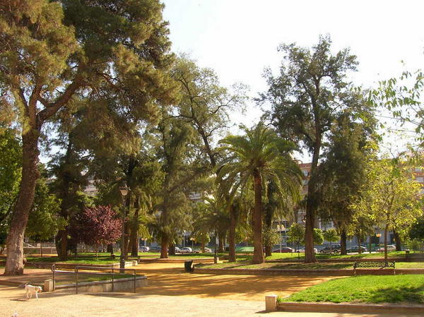 Městský park