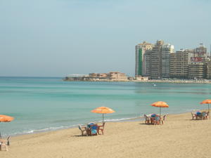 Alexandria beach