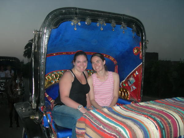 Horse and carriage ride