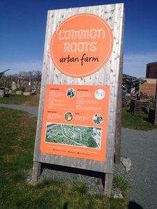 Common Roots sign