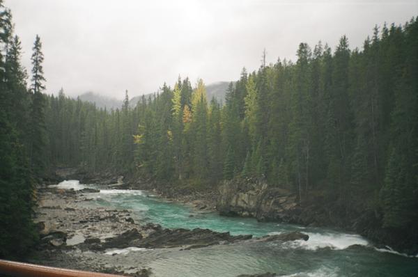 Glacier National Park stream