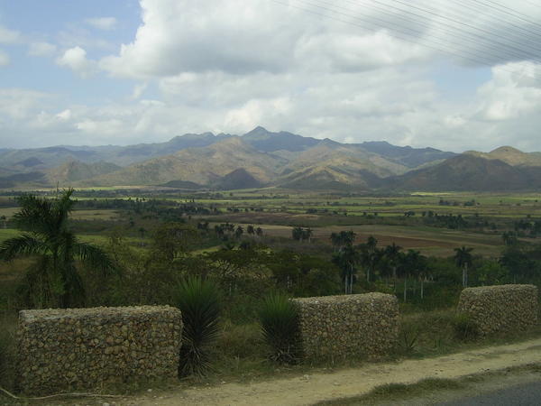 Cuban Countryside