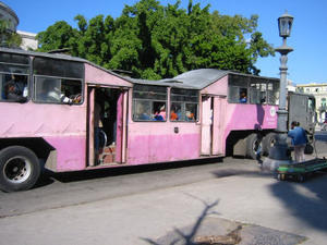 Havana Transit