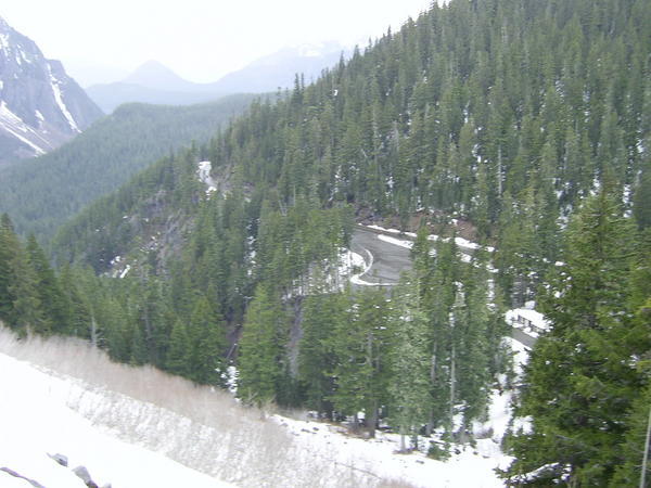 Mount Rainier Road