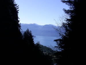 View from The Chief Trail