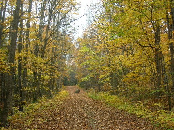 Arrowhead Trail