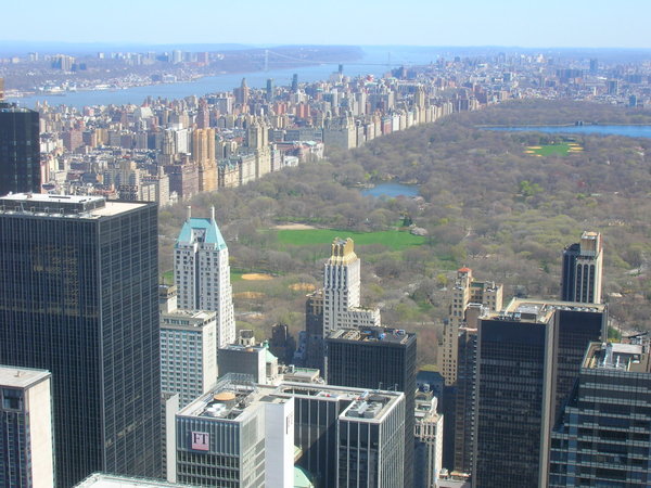 Best of Both Worlds - Central Park and Concrete Jungle