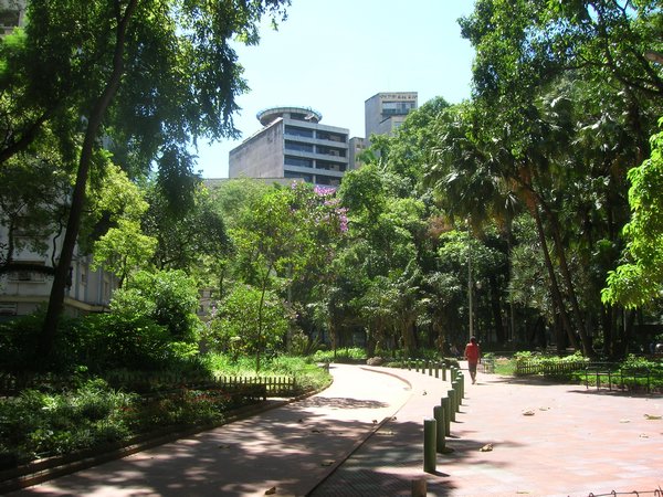 Sao Paulo park