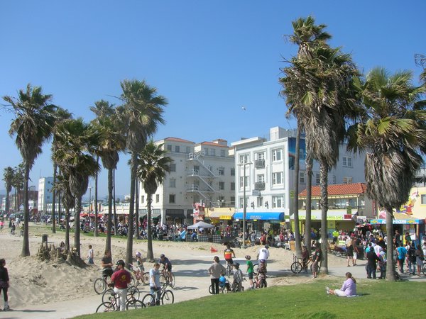 Venice Beach 5
