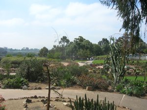 Balboa Park garden