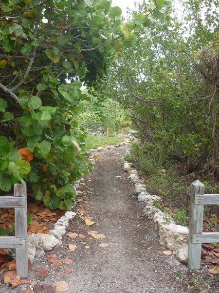 Bahia Honda Butterfly Garden path