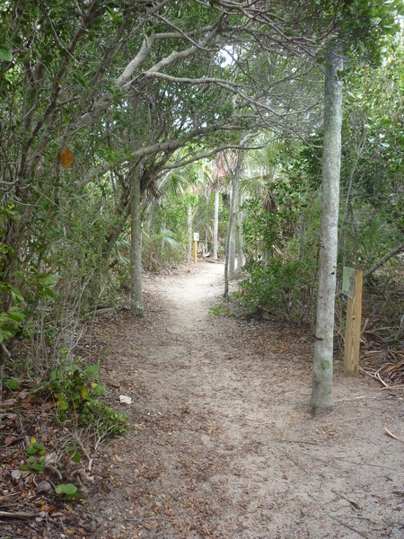Silver Palm Hiking Trail, Bahia Honda