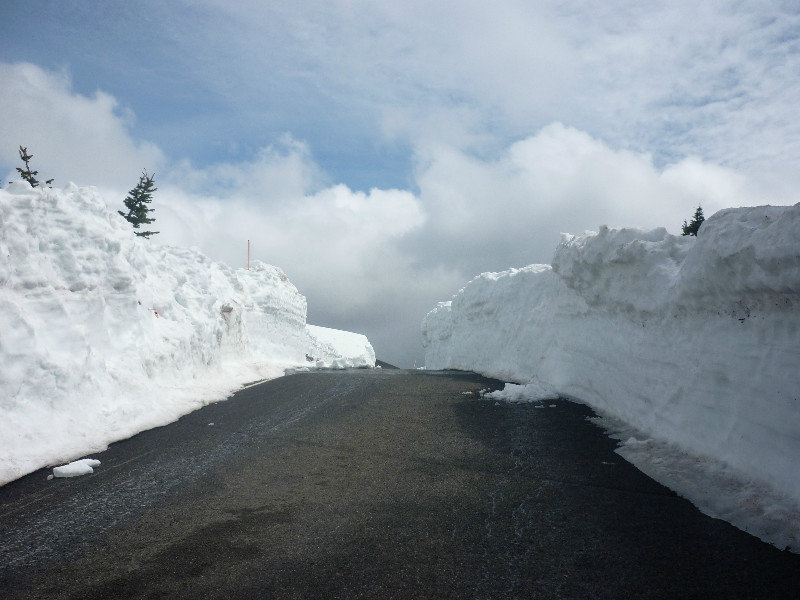 Hurricane Ridge, path between snow