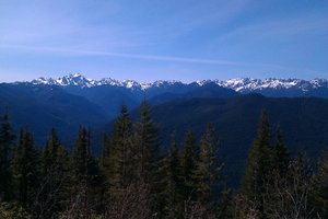 Olympic Mountains from Mt. Walker