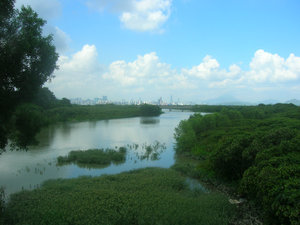 Shenzhen from HK Wetland Park