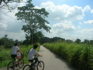 Cyclists near Mai Po Nature Reserve entrance