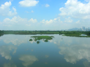 Cloud Reflections, Mai Po