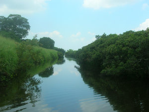Mai Po Mangroves