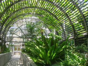 HK Park Greenhouse