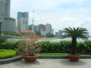 Ho Chi Minh Museum Courtyard Plants