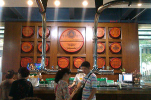 World of Tsingtao Beer Bar
