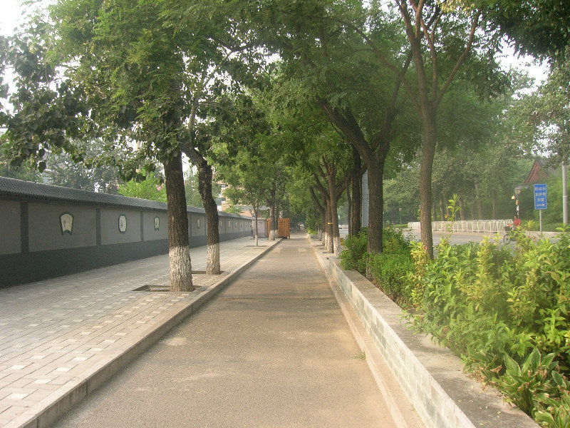 Beijing Bike Lane
