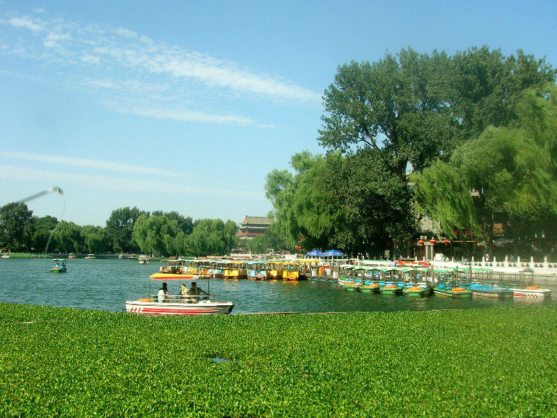 Qianhai paddleboating