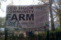 Red Hook Community Farm