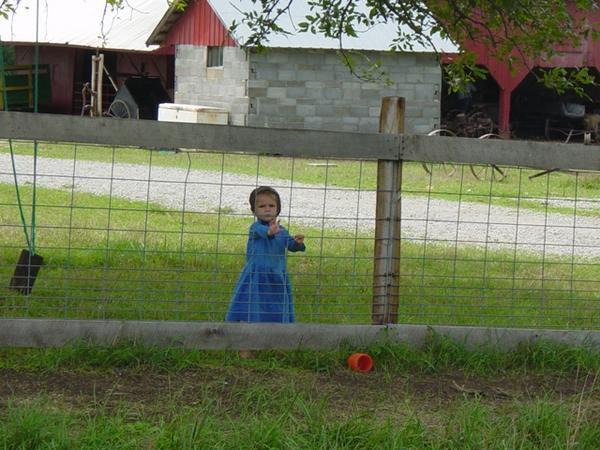 Little girl behind fence