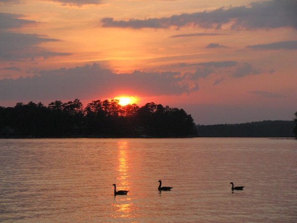 Lake Martin Sunset