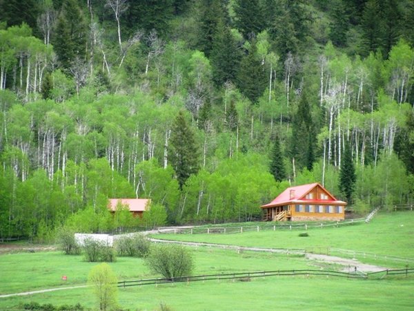 Western Cabin for Sale