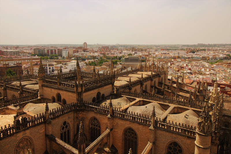 Seville cathedral roof