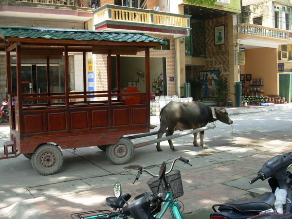 OX Cart Taxi