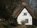 Straw roofed cottage house
