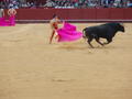Bullfight Seville