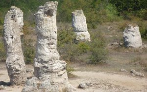 stone forest pillars