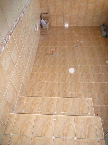 bathroom steps