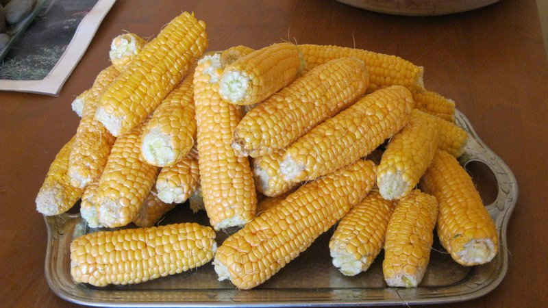 Edible corn