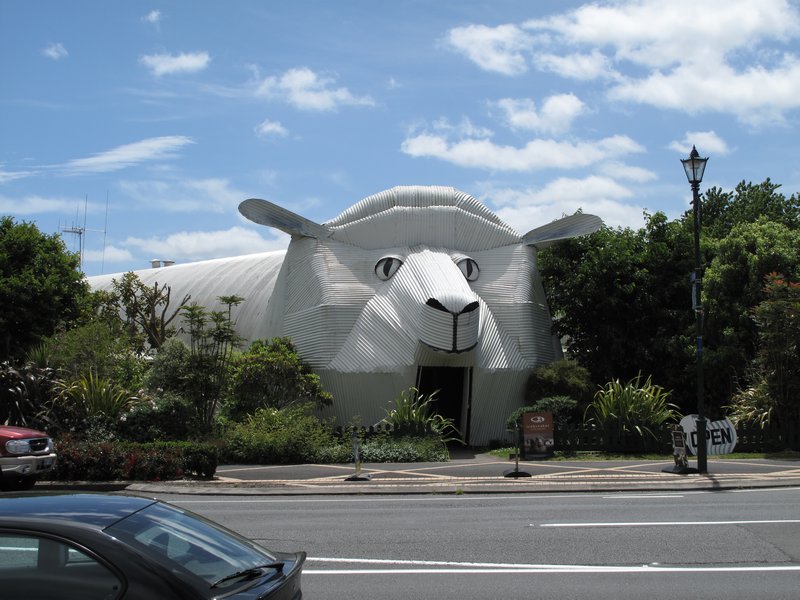 Sheep Building in Tirau